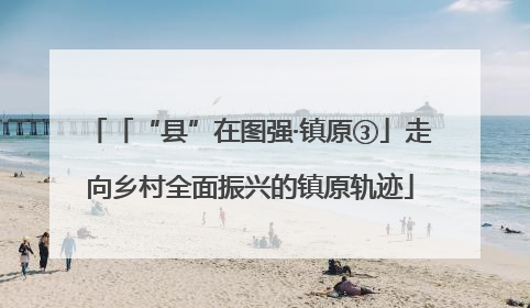 「“县”在图强·镇原③」走向乡村全面振兴的镇原轨迹