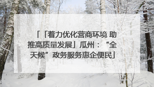 「着力优化营商环境 助推高质量发展」瓜州：“全天候”政务服务惠企便民