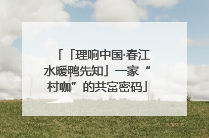 「理响中国·春江水暖鸭先知」一家“村咖”的共富密码