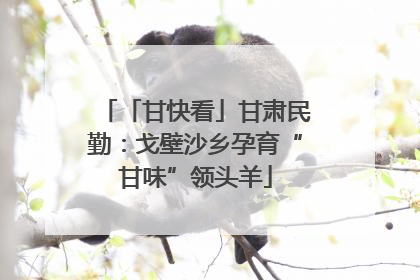 「甘快看」甘肃民勤：戈壁沙乡孕育“甘味”领头羊