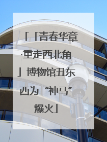 「青春华章·重走西北角」博物馆丑东西为“神马”爆火