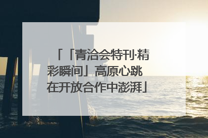 「青洽会特刊·精彩瞬间」高原心跳 在开放合作中澎湃