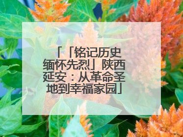 「铭记历史 缅怀先烈」陕西延安：从革命圣地到幸福家园