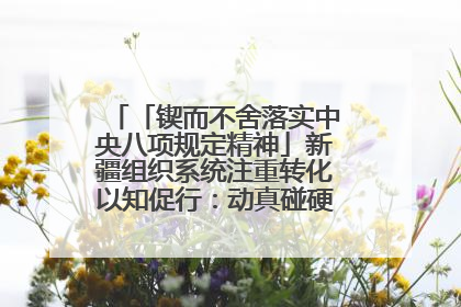 「锲而不舍落实中央八项规定精神」新疆组织系统注重转化以知促行：动真碰硬抓好整改整治
