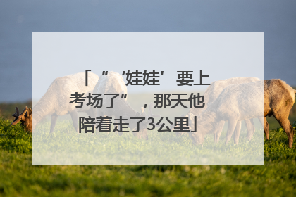 “‘娃娃’要上考场了”，那天他陪着走了3公里