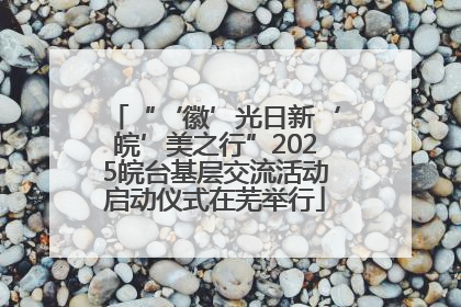 “‘徽’光日新‘皖’美之行”2025皖台基层交流活动启动仪式在芜举行