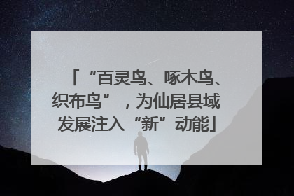 “百灵鸟、啄木鸟、织布鸟”，为仙居县域发展注入“新”动能
