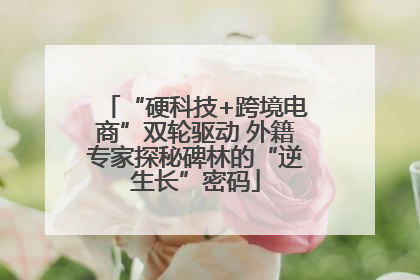 “硬科技+跨境电商”双轮驱动 外籍专家探秘碑林的“逆生长”密码