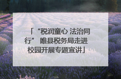 “税润童心 法治同行” 睢县税务局走进校园开展专题宣讲