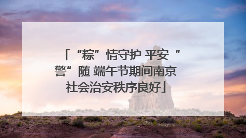 “粽”情守护 平安“警”随 端午节期间南京社会治安秩序良好