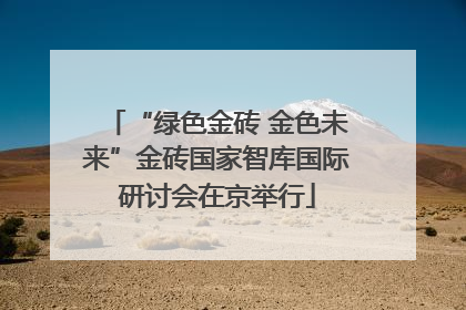 “绿色金砖 金色未来”金砖国家智库国际研讨会在京举行