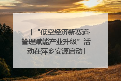 “低空经济新赛道·管理赋能产业升级”活动在萍乡安源启动