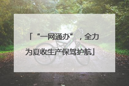 “一网通办”，全力为夏收生产保驾护航