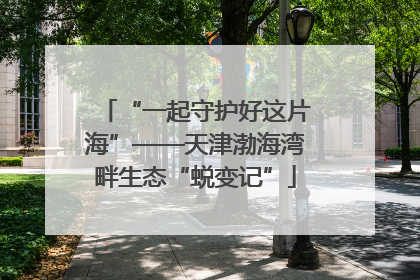“一起守护好这片海”——天津渤海湾畔生态“蜕变记”