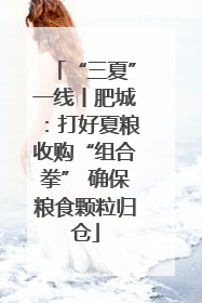 “三夏”一线丨肥城：打好夏粮收购“组合拳” 确保粮食颗粒归仓