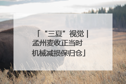 “三夏”视觉｜孟州麦收正当时 机械减损保归仓