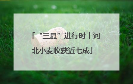“三夏”进行时丨河北小麦收获近七成