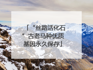 “丝路活化石”古老马种优质基因永久保存