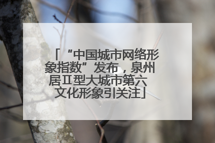 “中国城市网络形象指数”发布，泉州居Ⅱ型大城市第六 文化形象引关注