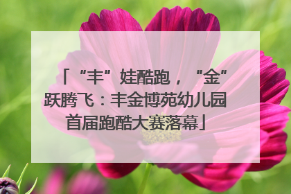 “丰”娃酷跑，“金”跃腾飞：丰金博苑幼儿园首届跑酷大赛落幕