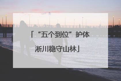 “五个到位”护体 淅川稳守山林