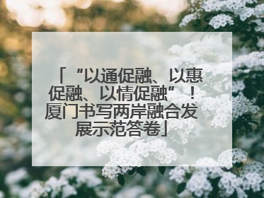 “以通促融、以惠促融、以情促融”！厦门书写两岸融合发展示范答卷