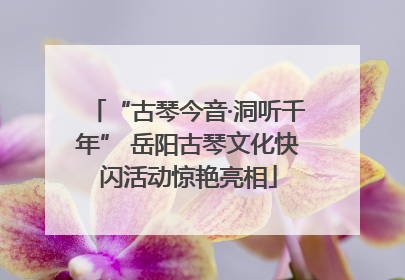 “古琴今音·洞听千年” 岳阳古琴文化快闪活动惊艳亮相