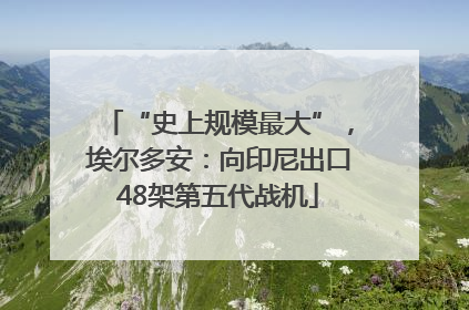 “史上规模最大”，埃尔多安：向印尼出口48架第五代战机