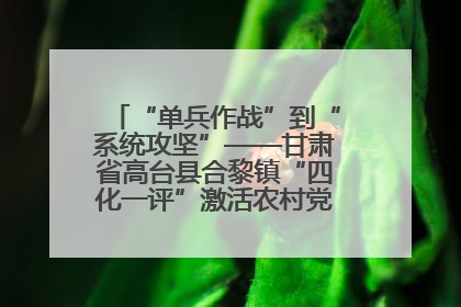 “单兵作战”到“系统攻坚”——甘肃省高台县合黎镇“四化一评”激活农村党员管理新引擎
