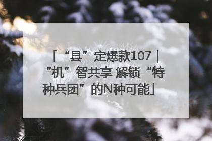 “县”定爆款107｜“机”智共享 解锁“特种兵团”的N种可能