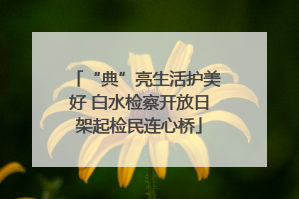 “典”亮生活护美好 白水检察开放日架起检民连心桥