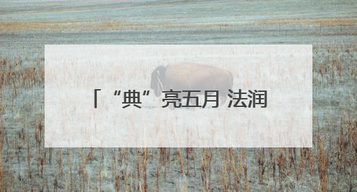 “典”亮五月 法润社区——新野县法院开展普法宣传活动