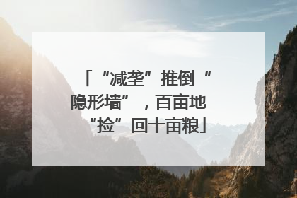 “减垄”推倒“隐形墙”，百亩地“捡”回十亩粮
