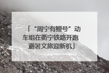 “周宁有鲤号”动车组在衢宁铁路开跑 避暑文旅迎新机
