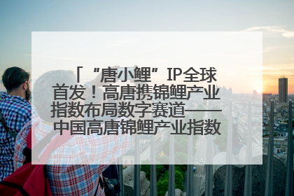 “唐小鲤”IP全球首发！高唐携锦鲤产业指数布局数字赛道——中国高唐锦鲤产业指数暨“唐小鲤”IP全球首发仪式在杭州举行
