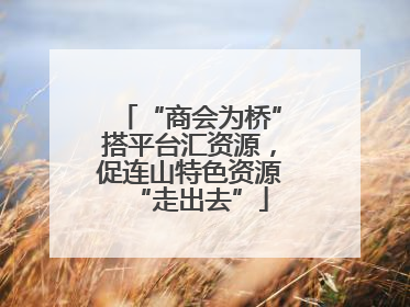 “商会为桥”搭平台汇资源，促连山特色资源“走出去”
