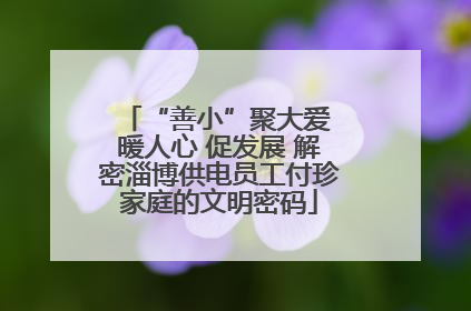 “善小”聚大爱 暖人心 促发展 解密淄博供电员工付珍家庭的文明密码
