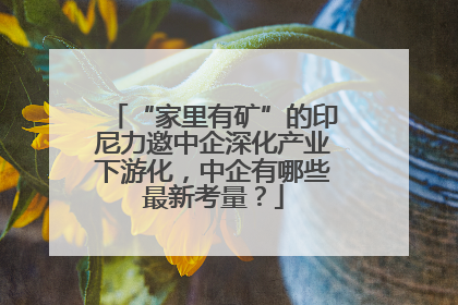 “家里有矿”的印尼力邀中企深化产业下游化，中企有哪些最新考量？