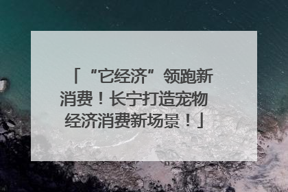 “它经济”领跑新消费！长宁打造宠物经济消费新场景！