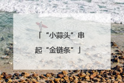 “小蒜头”串起“金链条”