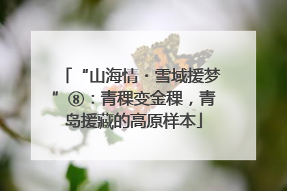 “山海情・雪域援梦”⑧：青稞变金稞，青岛援藏的高原样本