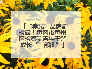 “崇光”品牌耀检徽！黄冈市黄州区检察院青年干警成长“三部曲”