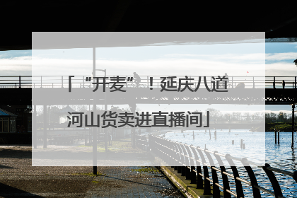 “开麦”！延庆八道河山货卖进直播间