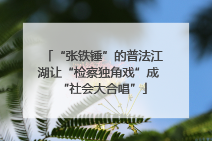 “张铁锤”的普法江湖让“检察独角戏”成“社会大合唱”