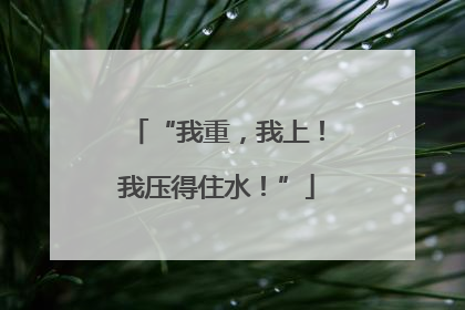 “我重，我上！我压得住水！”