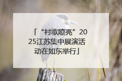 “村歌嘹亮”2025江苏集中展演活动在如东举行