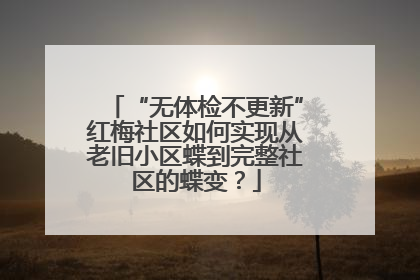 “无体检不更新”红梅社区如何实现从老旧小区蝶到完整社区的蝶变？