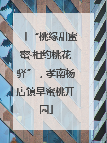 “桃缘甜蜜蜜·相约桃花驿”，孝南杨店镇早蜜桃开园