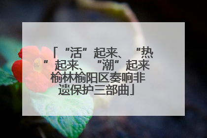 “活”起来、“热”起来、“潮”起来 榆林榆阳区奏响非遗保护三部曲