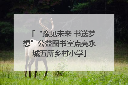 “豫见未来 书送梦想”公益图书室点亮永城五所乡村小学
